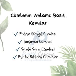 Üstte "Cümlenin Anlamı: Basit Konular" başlığı, aşağısında maddeler halinde sırayla "Endişe (Kaygı) Cümlesi, Şaşırma Cümlesi, Sözde Soru Cümlesi, Eşitlik Bildiren Cümleler" yazıları ve geride fon olarak "Pratik Çalışma" logosu var.
