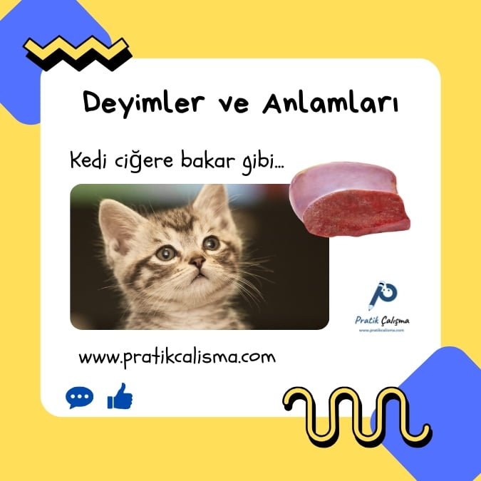 Üstte "Deyimler ve Anlamları" başlığı, aşağısında "Kedi ciğere bakar gibi..." yazısı, altta ciğere bakan kedi görseli, solunda "Pratik Çalışma" logosu ve en altta "www.pratikcalisma.com" adresi var.