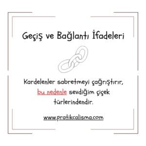 Geçiş ve Bağlantı İfadeleri Çerçeveli bölümün üstünde "Geçiş ve Bağlantı İfadeleri" başlığı, aşağısında zincir görseli, onun da altında "Kardelenler sabretmeyi çağrıştırır, bu nedenle sevdiğim çiçek türlerindendir." yazısı ve en altta "www.pratikcalisma.com" adresi var.