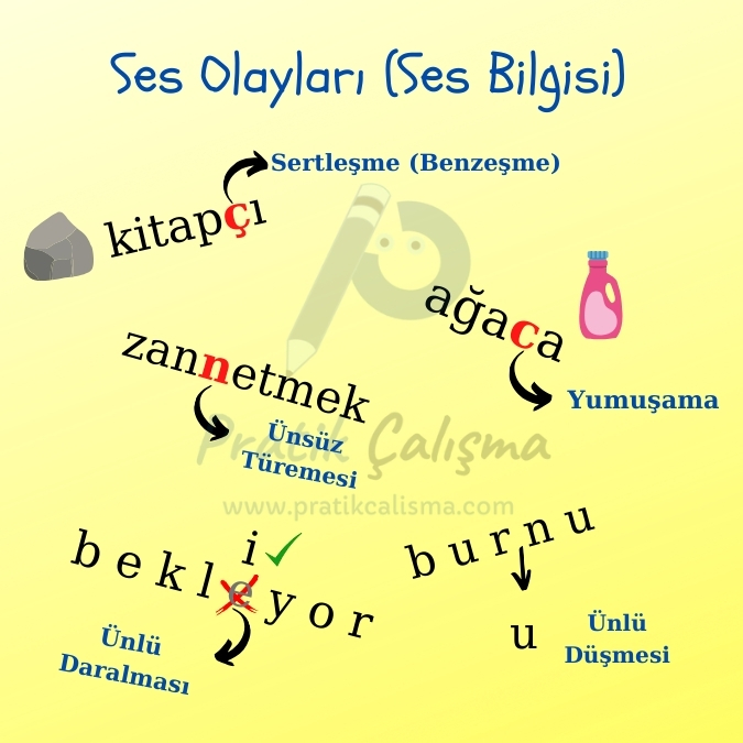 Sarı fon üzerinde "Ses Olayları (Ses Bilgisi)" başlığı, aşağısında bazı ses olayları örnekleri ve onları çağrıştıran görseller, geride fon olarak "Pratik Çalışma" logosu var.