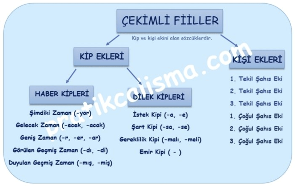 Çekimli fiil ve alt başlıklarını gösteren tablo.