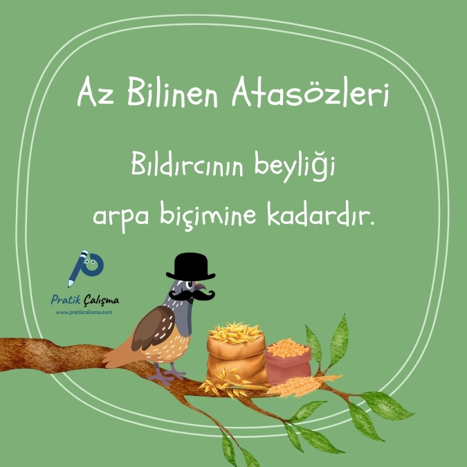 Üstte "Az Bilinen Atasözleri" başlığı, aşağısında "Bıldırcının beyliği arpa biçimine kadardır." atasözü, aşağısında bu atasözünün karikatürü olarak ağaç dalı üzerinde şapka takmış bıyıklı bıldırcın ve önünde iki çuval arpa var. Görselin solunda da "Pratik Çalışma" logosu var.