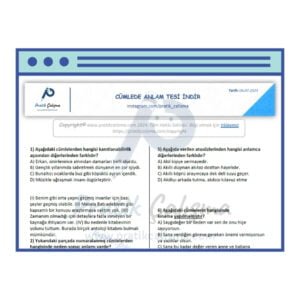 Cümlede Anlam Testi İndir Bilgisayar ekran görüntüsünde üstte "CÜMLEDE ANLAM TESTİ İNDİR" başlığı, aşağısında cümlede anlam ile ilgili bazı sorular ve geride fon olarak "Pratik Çalışma" logosu var.