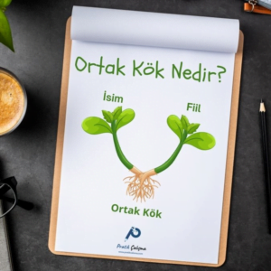 Üstte "Ortak Kök Nedir?" başlığı, aşağısında iki bitki ortak kökle bağlanıyor. En altta da "Pratik Çalışma" logosu var.