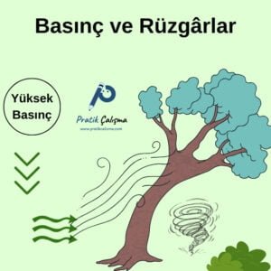 Üstte "Basınç ve Rüzgârlar" başlığı, aşağısında temsili olarak yüksek basınç, alçalıcı hava hareketleri, rüzgâr, rüzgârda yan yatmış ağaç ve fırtına görselleri var.