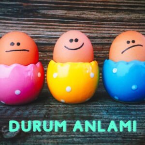 Ahşap masa üzerinde çeşitli yüz ifadeleri olan üç yumurta, aşağısında "Durum Anlamı" başlığı var.