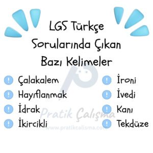 LGS Türkçe Sorularında Çıkan Kelimeler Üstte "LGS Türkçe Sorularında Çıkan Bazı Kelimeler" başlığı, aşağısında "çalakalem, hayıflanmak, idrak, ikircikli, ironi, ivedi, kanı, tekdüze" yazıları var. Geride "Pratik Çalışma" logosu var.