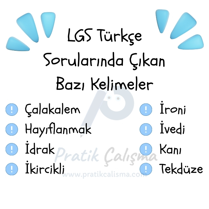 LGS Türkçe Sorularında Çıkan Kelimeler