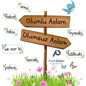 Çiçeklerin üzerinde zıt yerleri gösteren levha, üstteki levhada "Olumlu Anlam", alttaki levhada "Olumsuz Anlam" yazısı, levhaların çevresinde kelebek ve kuşlar var. Ayrıca Yönlendirici İfade olan "ama, fakat, lakin, ne var ki, yalnız, ancak, oysaki, hâlbuki" bağlaçları da kutucuklar içinde yazılı, görselin gerisinde fon olarak "Pratik Çalışma" logosu var.