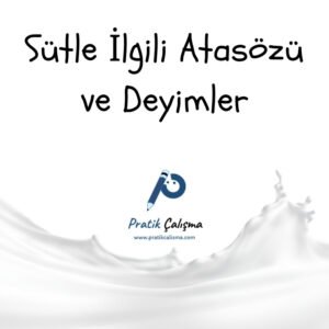 Sütle İlgili Atasözü ve Deyimler Üstte "Sütle İlgili Atasözü ve Deyimler" başlığı, aşağısında "Pratik Çalışma" logosu, en altta süt görseli var.