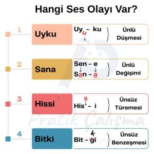 Hangi Ses Olayı Var? Üstte "Hangi Ses Olayı Var?" başlığı, aşağısında 4 renkli kutucukta sırayla "Uyku, Sana, Hissi, Bitki" kelimeleri var. Her bir kelimenin karşısında hangi ses olayı olduğu görselle anlatılmıştır. Görselin gerisinde de fon olarak "Pratik Çalışma" logosu var.