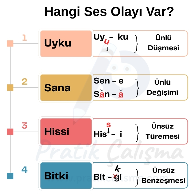 Üstte "Hangi Ses Olayı Var?" başlığı, aşağısında 4 renkli kutucukta sırayla "Uyku, Sana, Hissi, Bitki" kelimeleri var. Her bir kelimenin karşısında hangi ses olayı olduğu görselle anlatılmıştır. Görselin gerisinde de fon olarak "Pratik Çalışma" logosu var.
