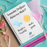 Defterin üstünde "İnsandan Doğaya Aktarma Nedir?" başlığı, aşağısında gülümseyen güneş ve kızgın bir ifadeyle rüzgâr çıkaran bulut görselleri ve aşağısında "Pratik Çalışma" logosu var.