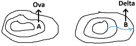 Ova ve deltanın izohips haritasındaki görseli var.