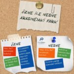 Panoda asılı üç ayrı not kâğıdı var. Üstteki kâğıtta "Özne ile Nesne Arasındaki Fark" başlığı, sol altında özne ile ilgili kısa bilgilerin yer aldığı renkli kâğıtlar, sağ altında nesne ile ilgili bilgilerin yer aldığı kısa bilgiler var. Ortada da "Pratik Çalışma" logosu var.