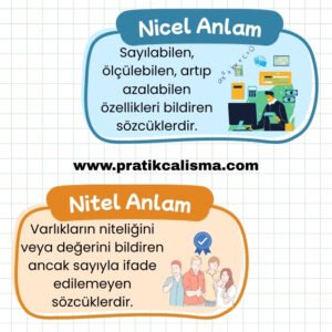 Nicel ve Nitel Anlam Nicel ve Nitel Anlam hakkında açıklama yapan iki tablo ve her birinin sağında örnek görsel var. Bunların ortasında da "www.pratikcalisma.com" adresi yazılı.