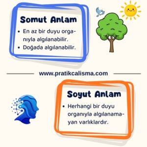 Somut ve Soyut Anlam Somut ve Soyut Anlam görselinde üstteki mavi kutucukta somut anlam açıklaması ve sağında doğa görseli var. Alttaki turuncu kutucukta soyut anlam açıklaması ve solunda zekâ görseli var. Ortada da "www.pratikcalisma.com" adresi yazılı.